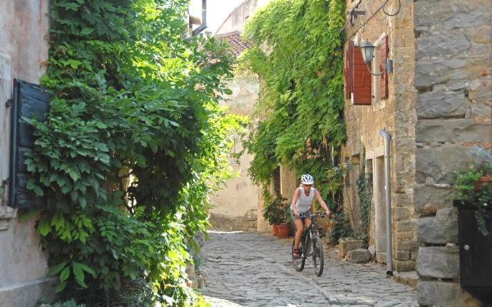 Rustica * Buje